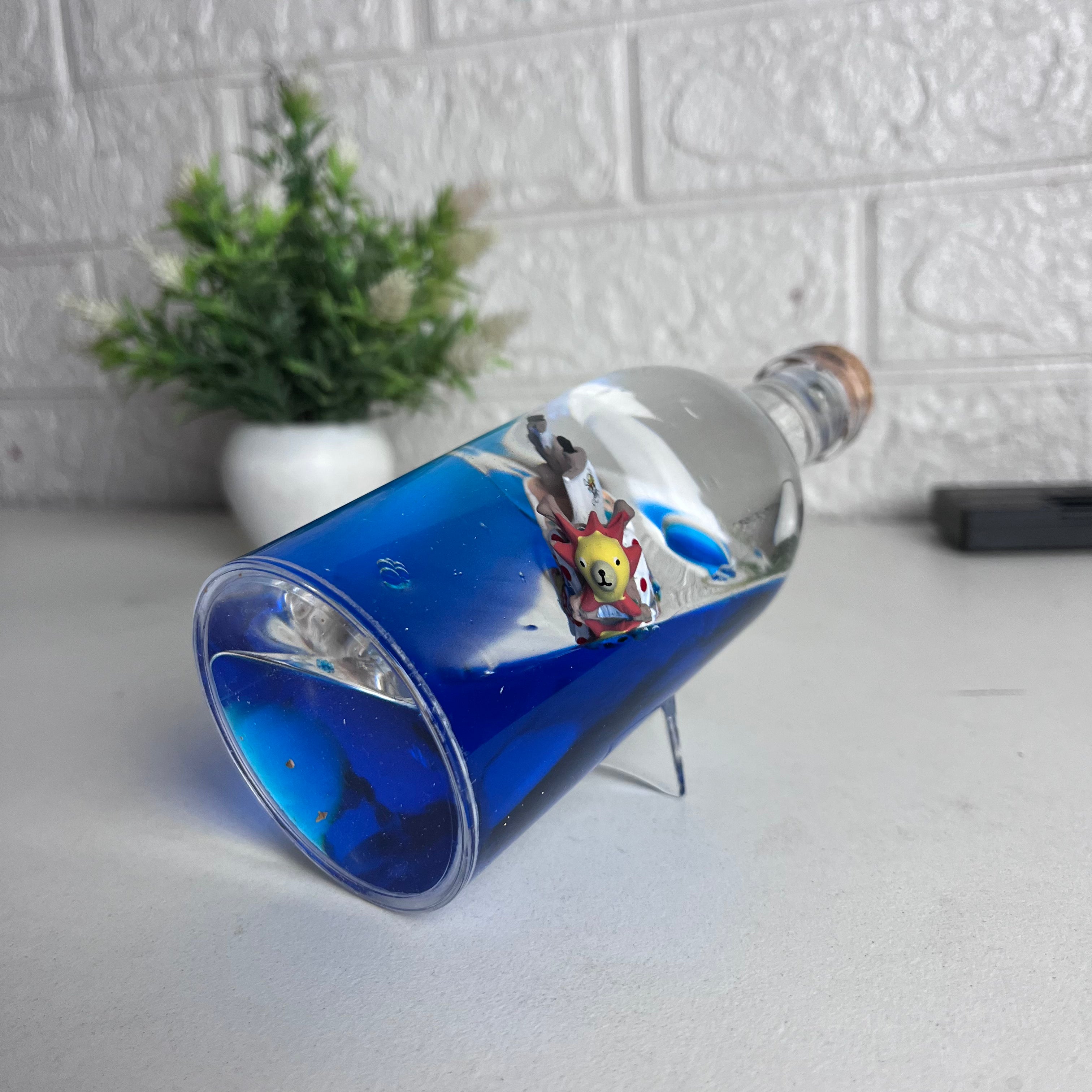 Going Merry Ship in Bottle