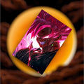The Black Goku Poster